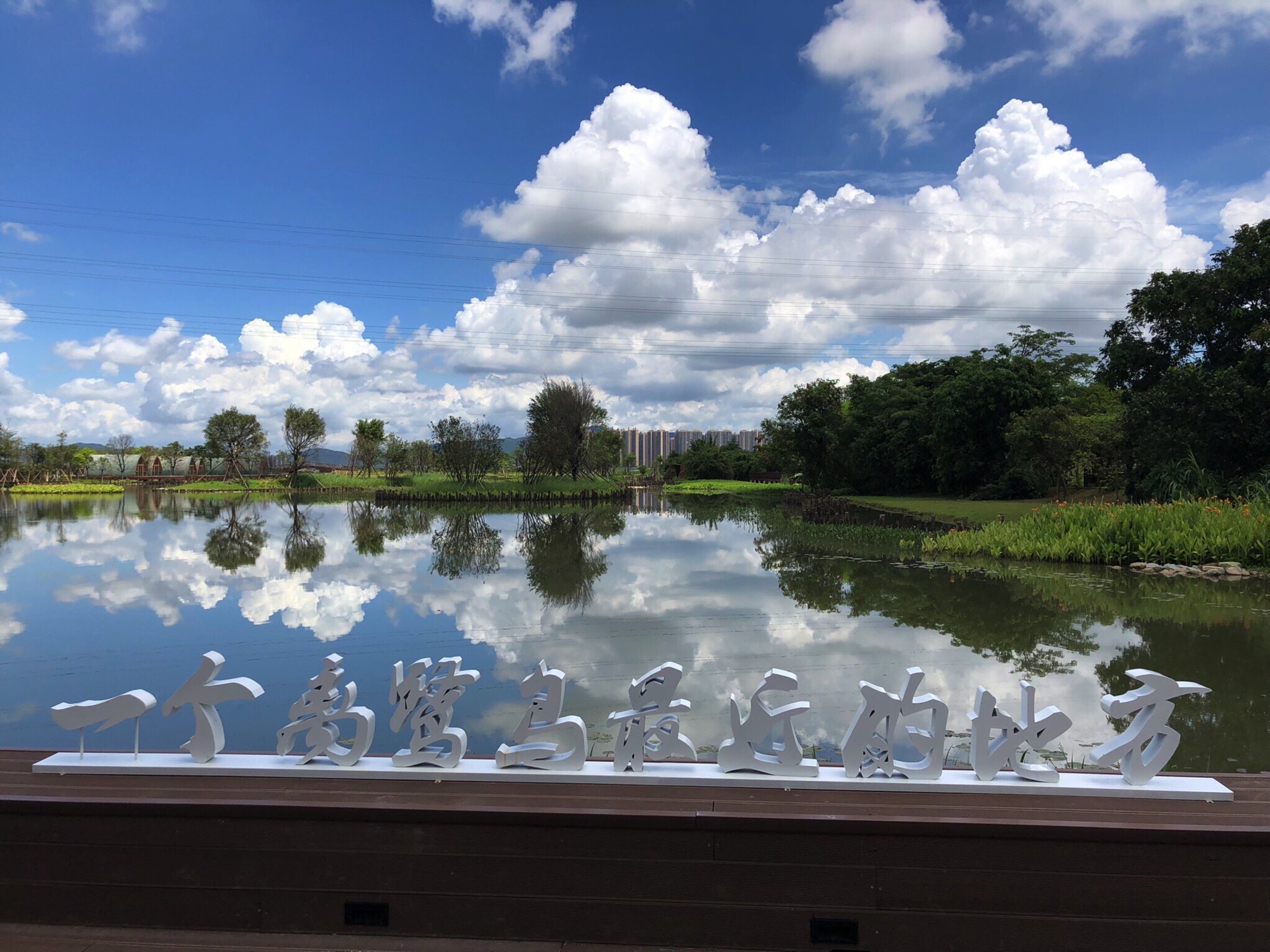 鹭鸟天下旅行图片 2