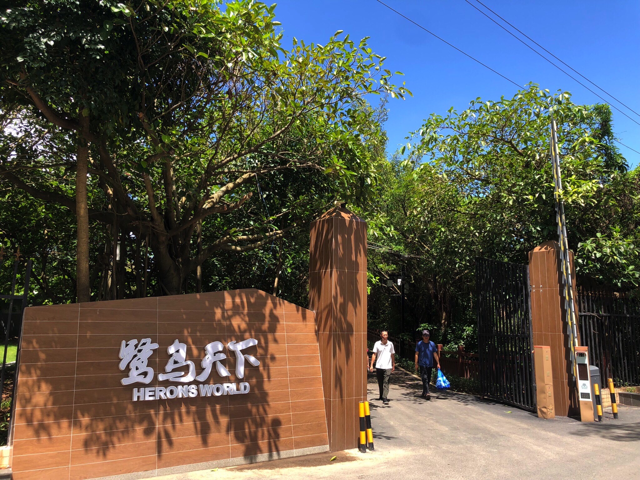 鹭鸟天下旅行图片 1