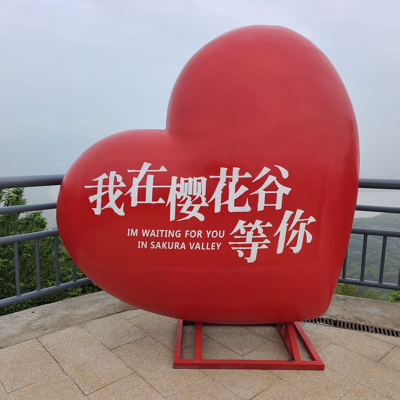 瑞安市桐浦凤凰樱花谷旅行图片 3