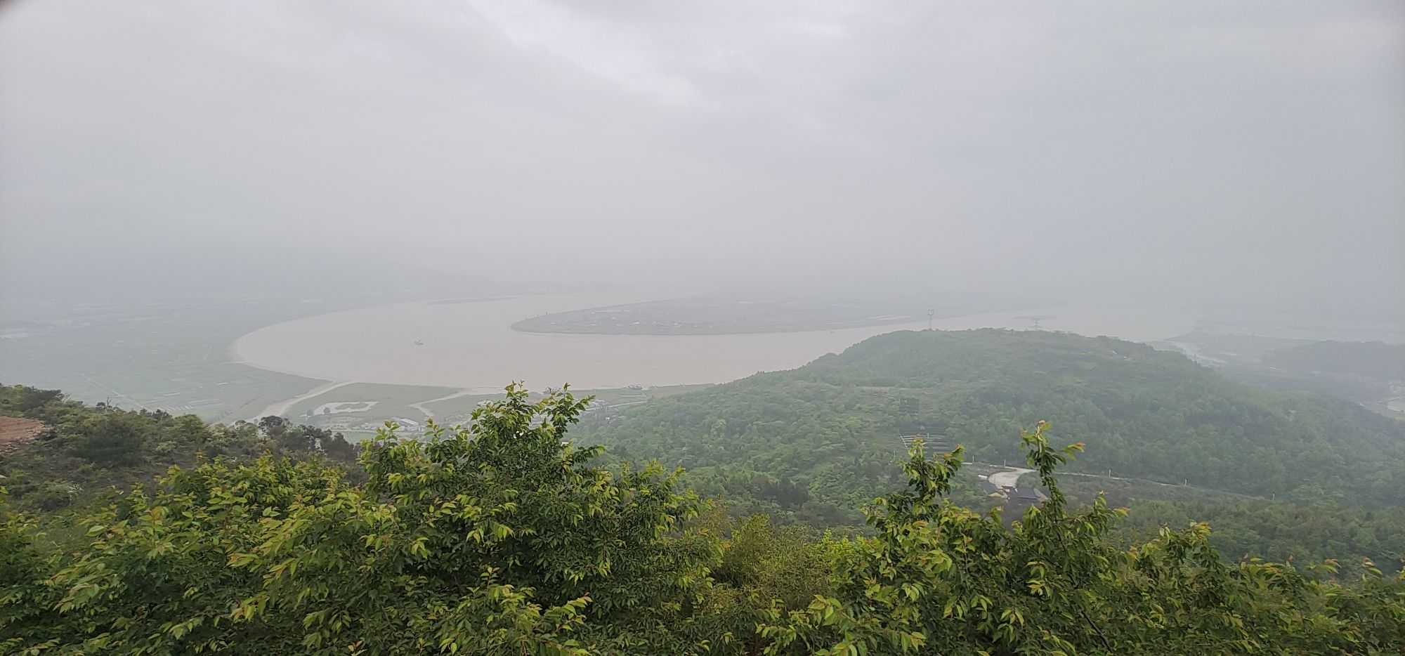 瑞安市桐浦凤凰樱花谷旅行图片 2