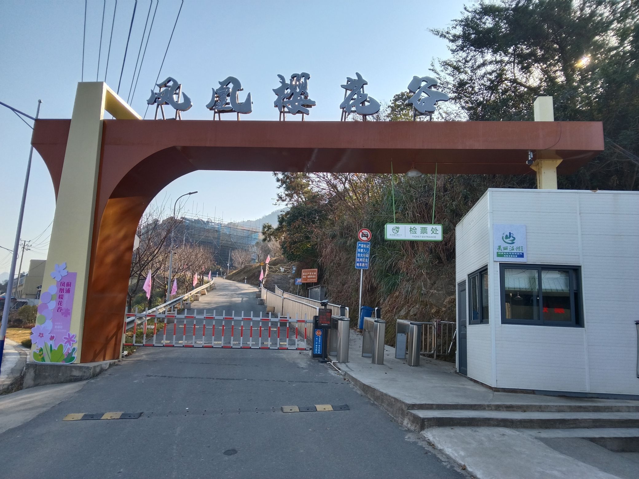 瑞安市桐浦凤凰樱花谷旅行图片 1