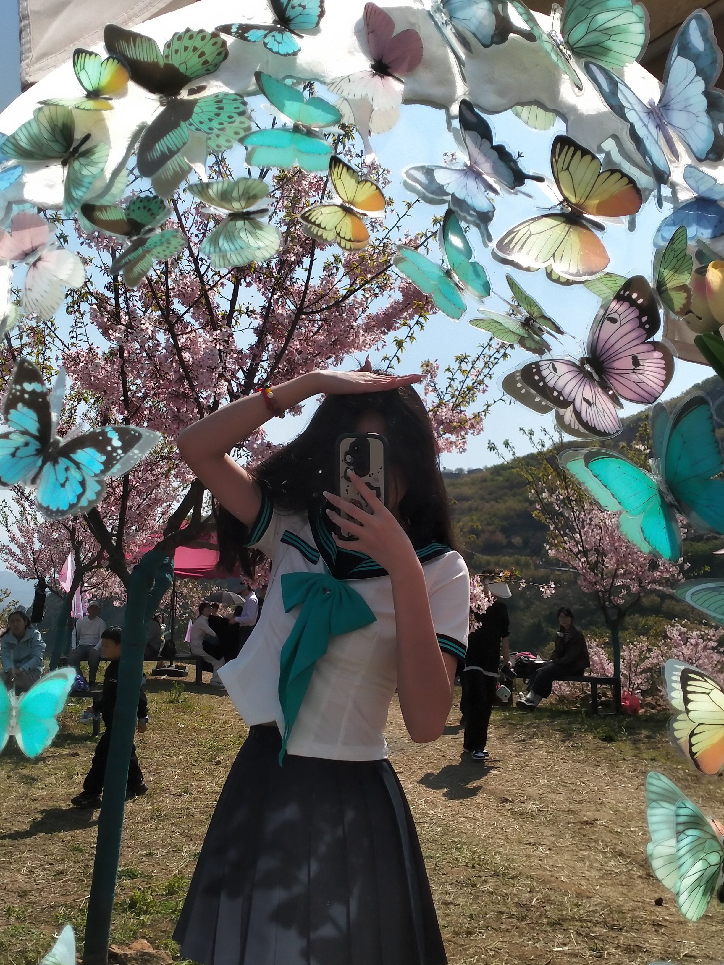 瑞安市桐浦凤凰樱花谷旅行图片 1