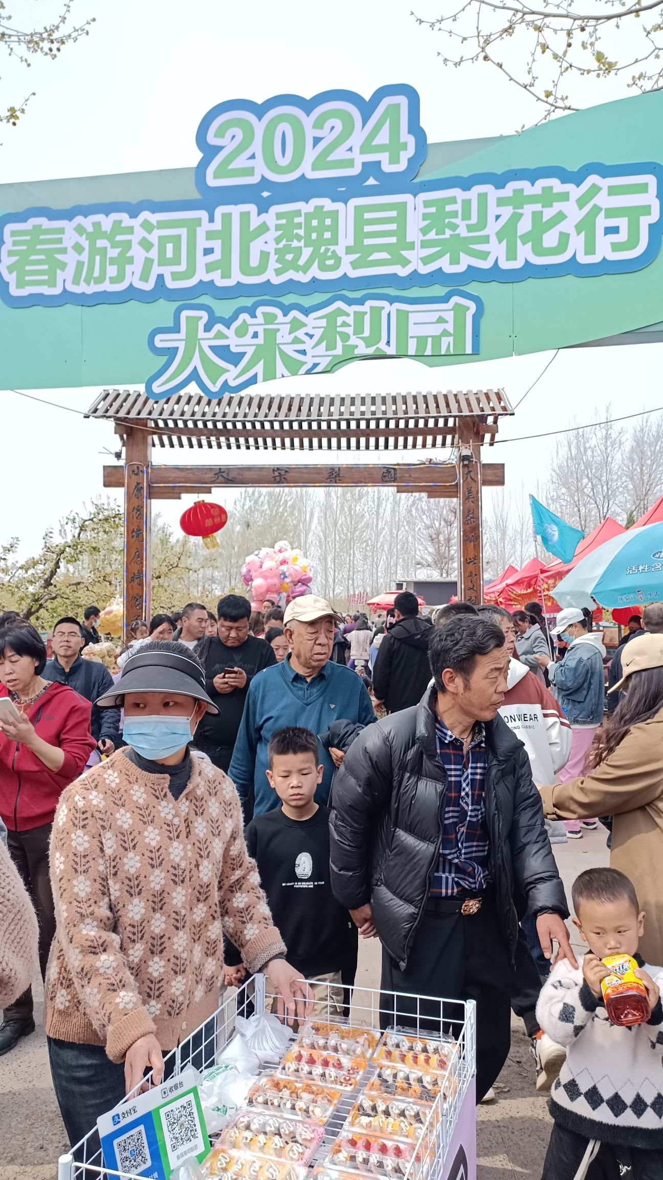 大宋梨园旅行图片 1