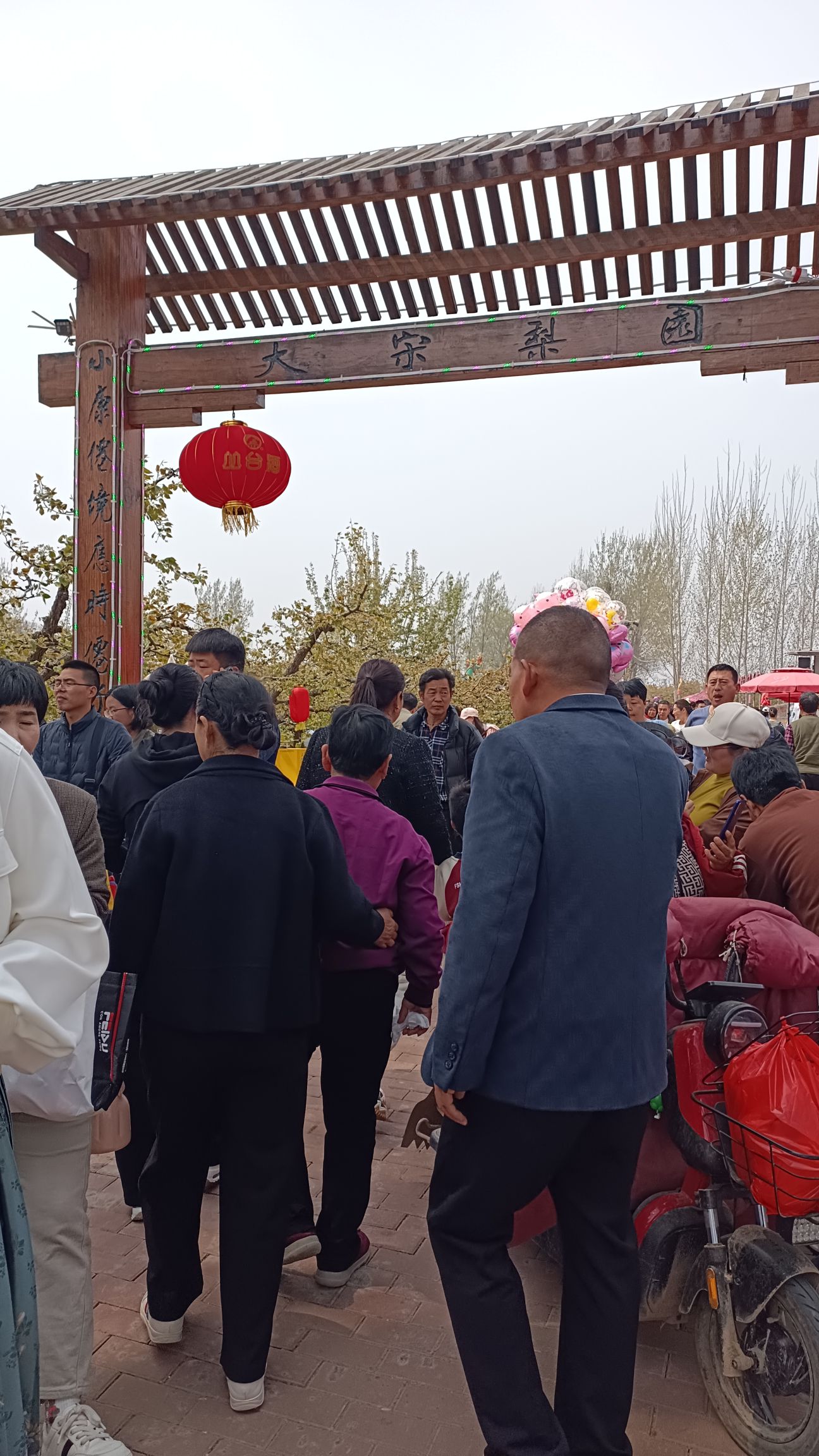 大宋梨园旅行图片 2