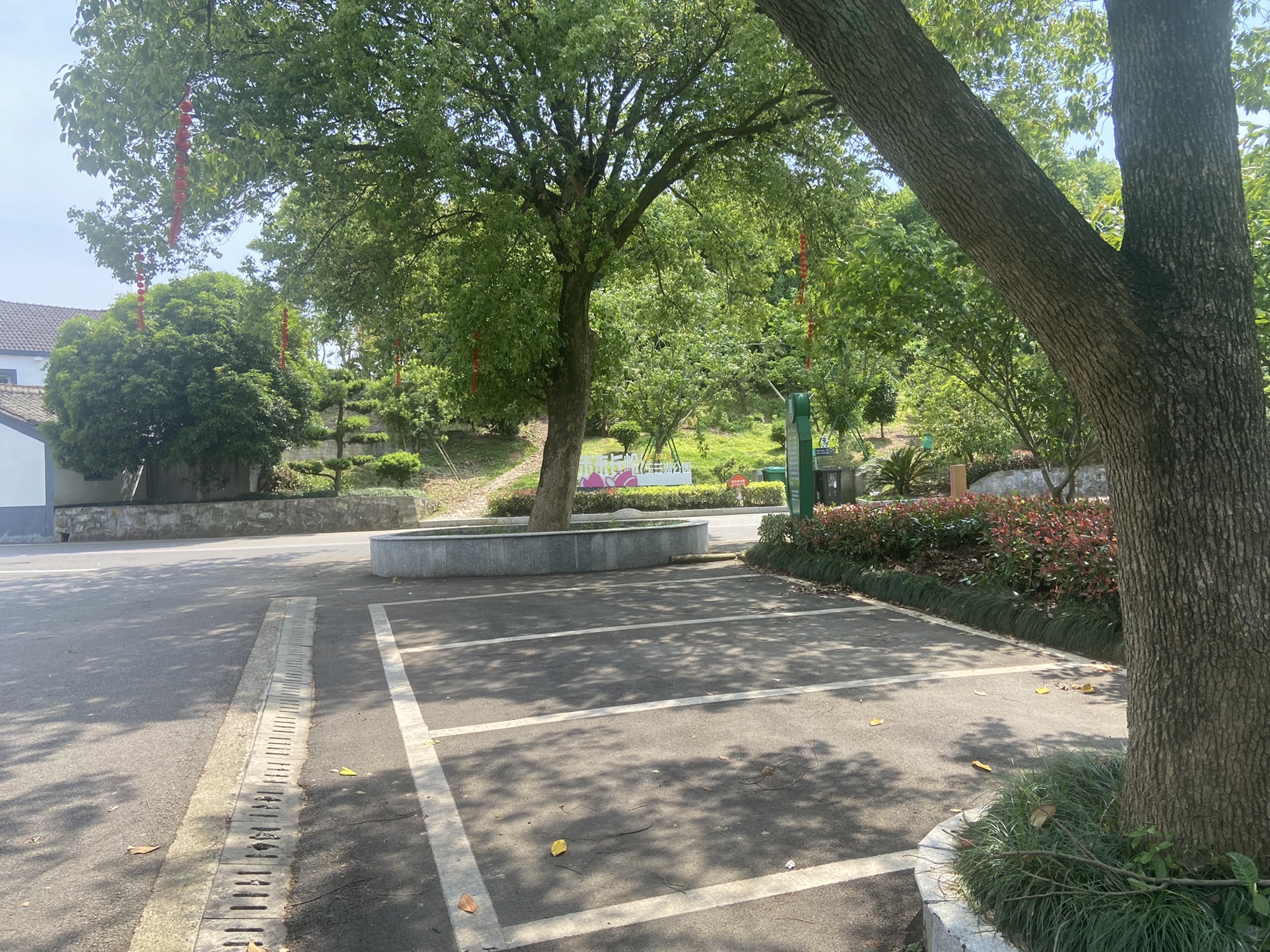 玉兰公园旅行图片 2