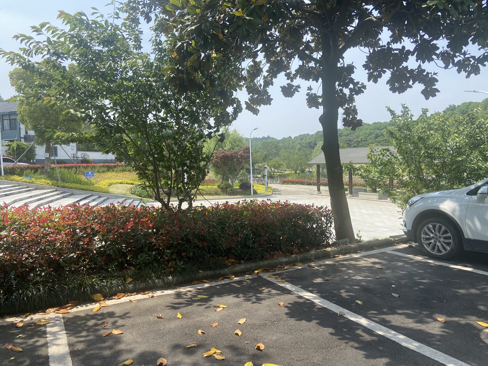 玉兰公园旅行图片 3
