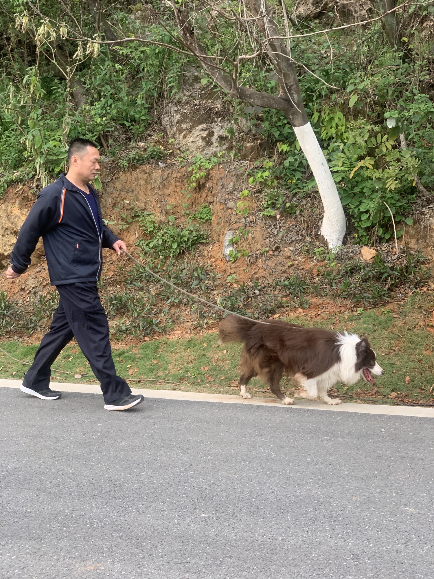 樟树公园旅行图片 2
