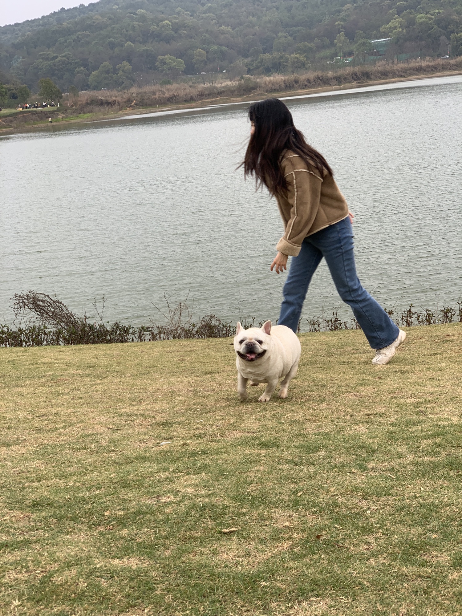 樟树公园旅行图片 3
