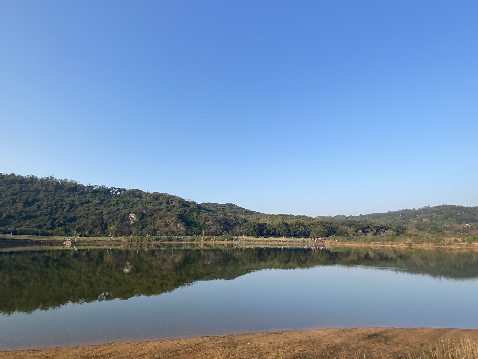 樟树公园旅行图片 1