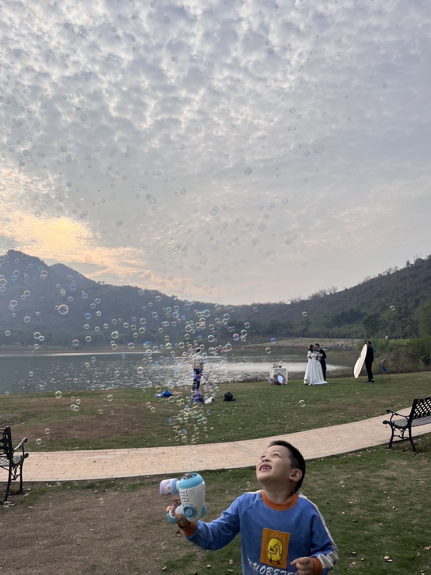 樟树公园旅行图片 3