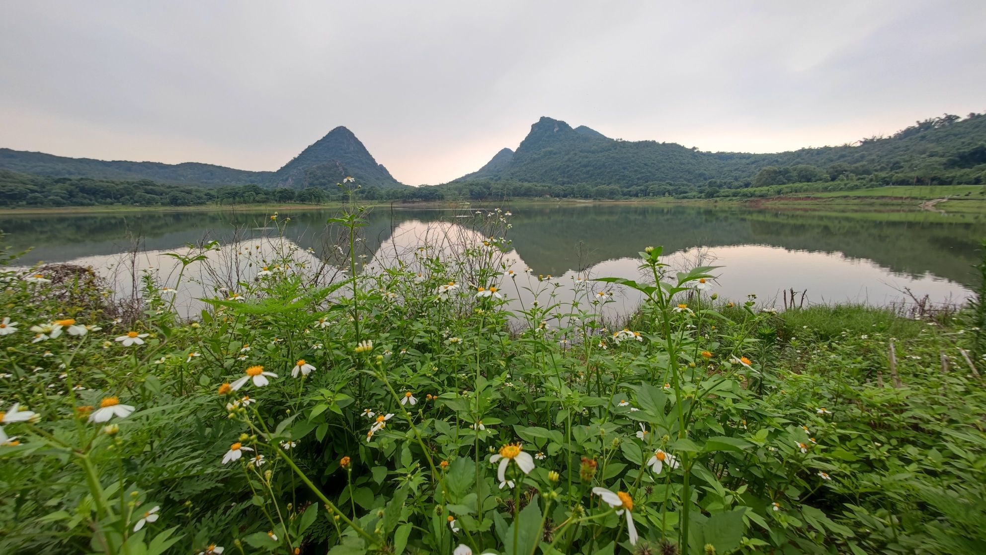 樟树公园旅行图片 3