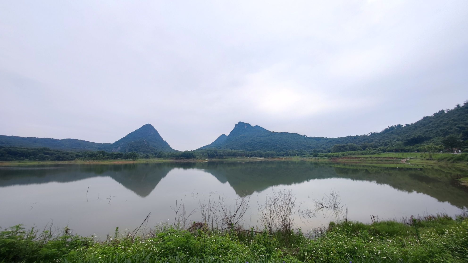 樟树公园旅行图片 2