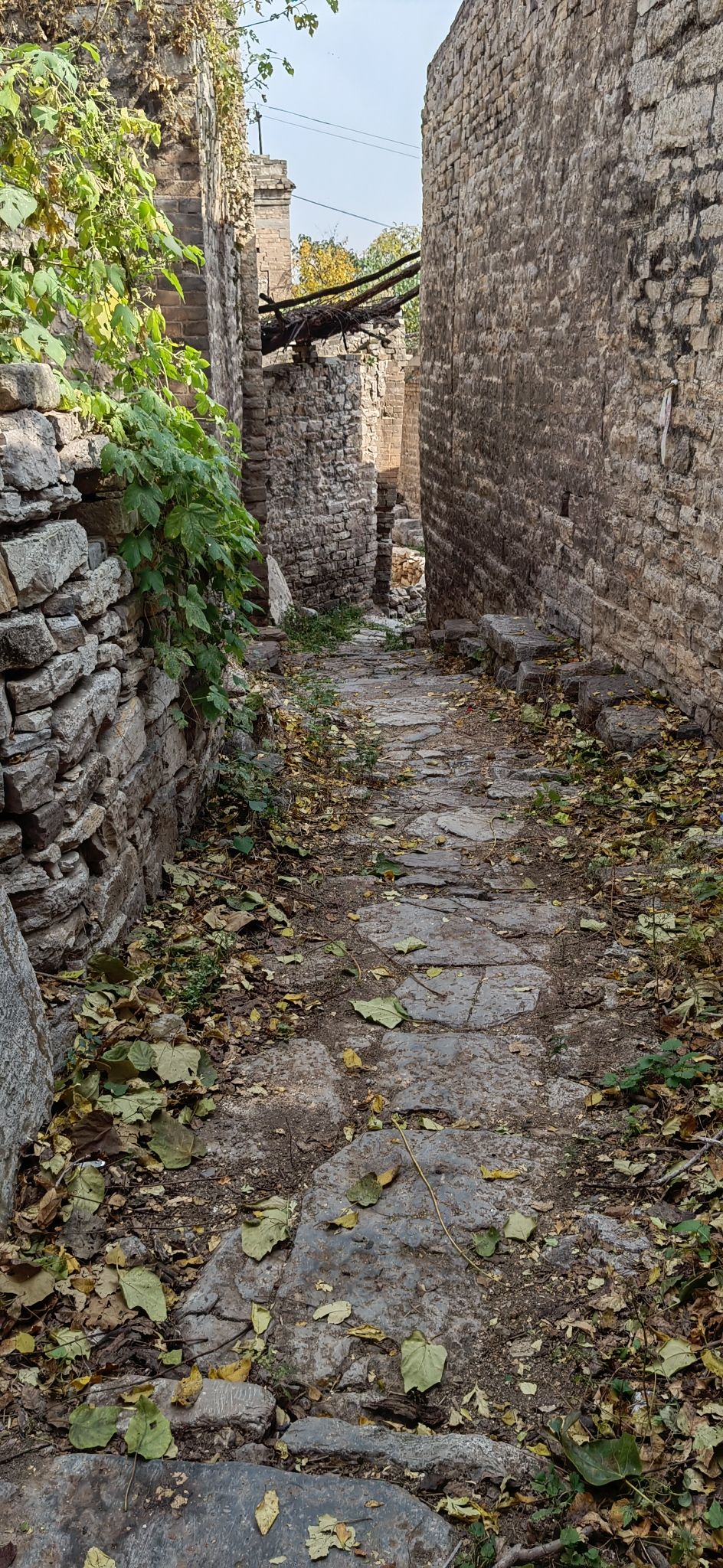 安子岭景区旅行图片 3