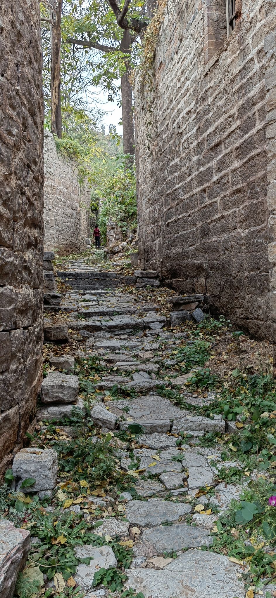 安子岭景区旅行图片 2