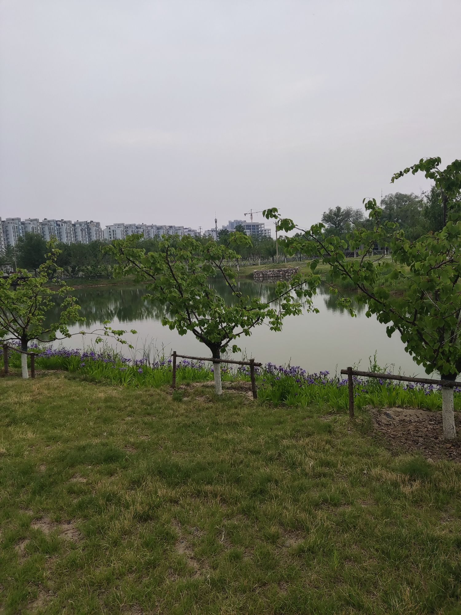 通州云景公园旅行图片 3