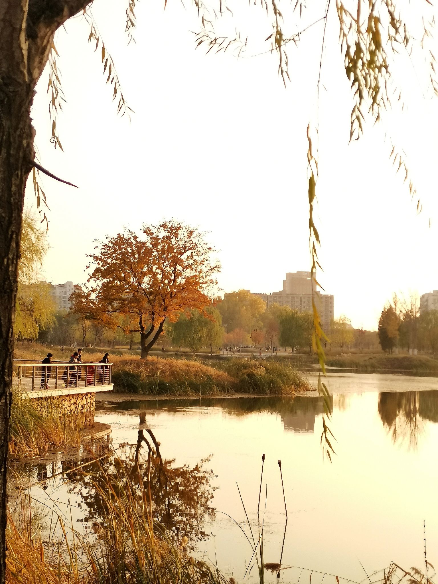通州云景公园旅行图片 1