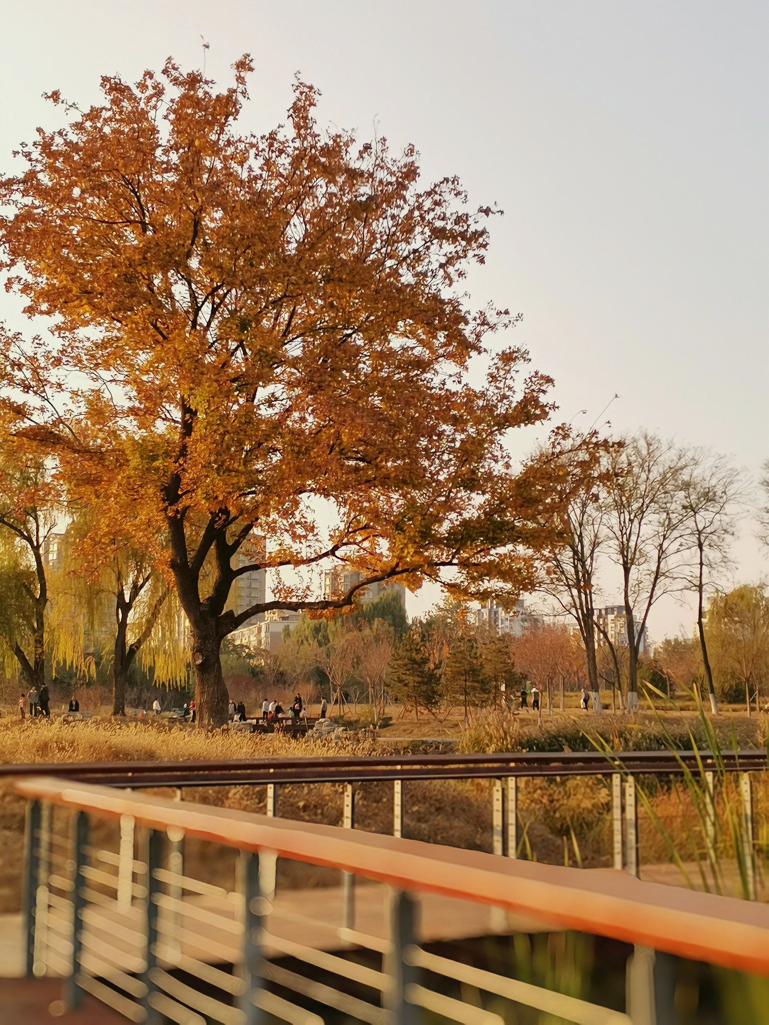 通州云景公园旅行图片 2