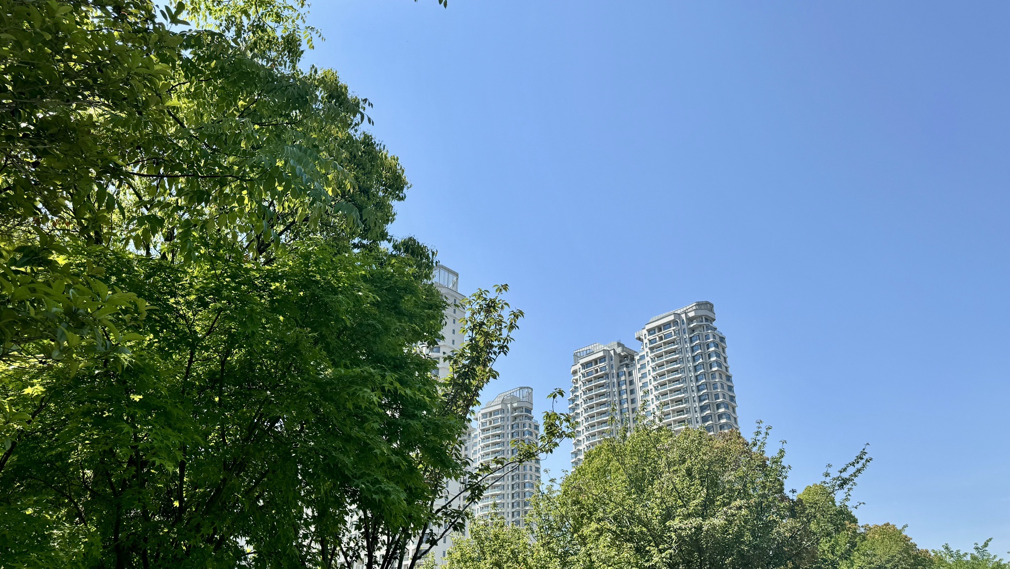 上海长滩坡地公园旅行图片 3
