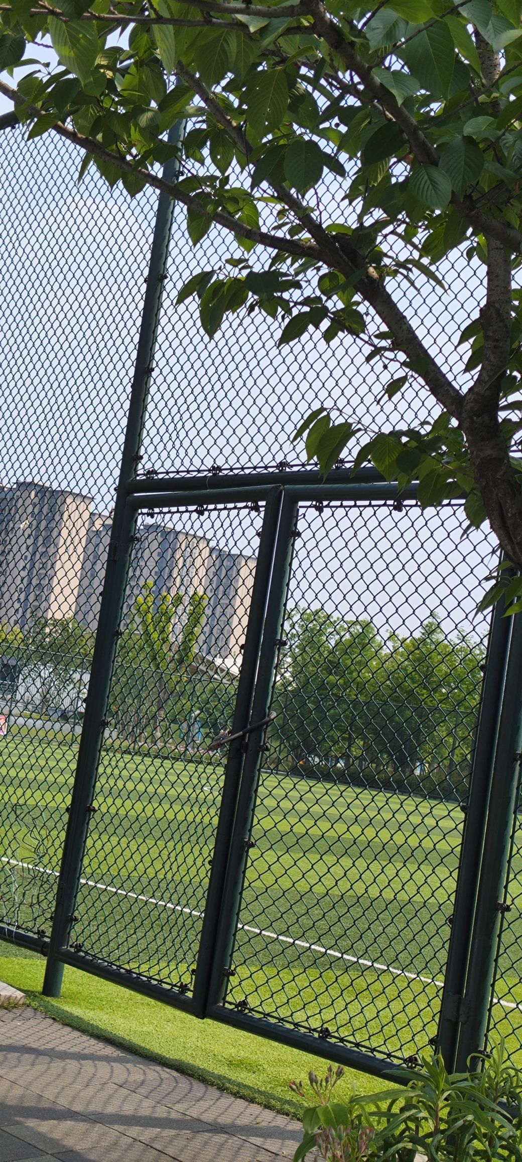 云林生态体育公园旅行图片 3