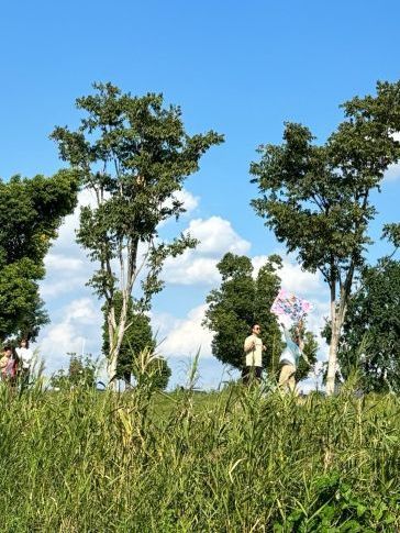 滨江花海旅行图片 2