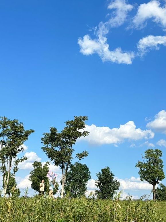 滨江花海旅行图片 3