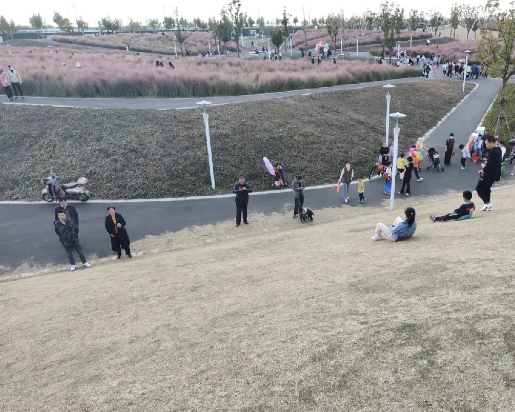滨江花海旅行图片 3