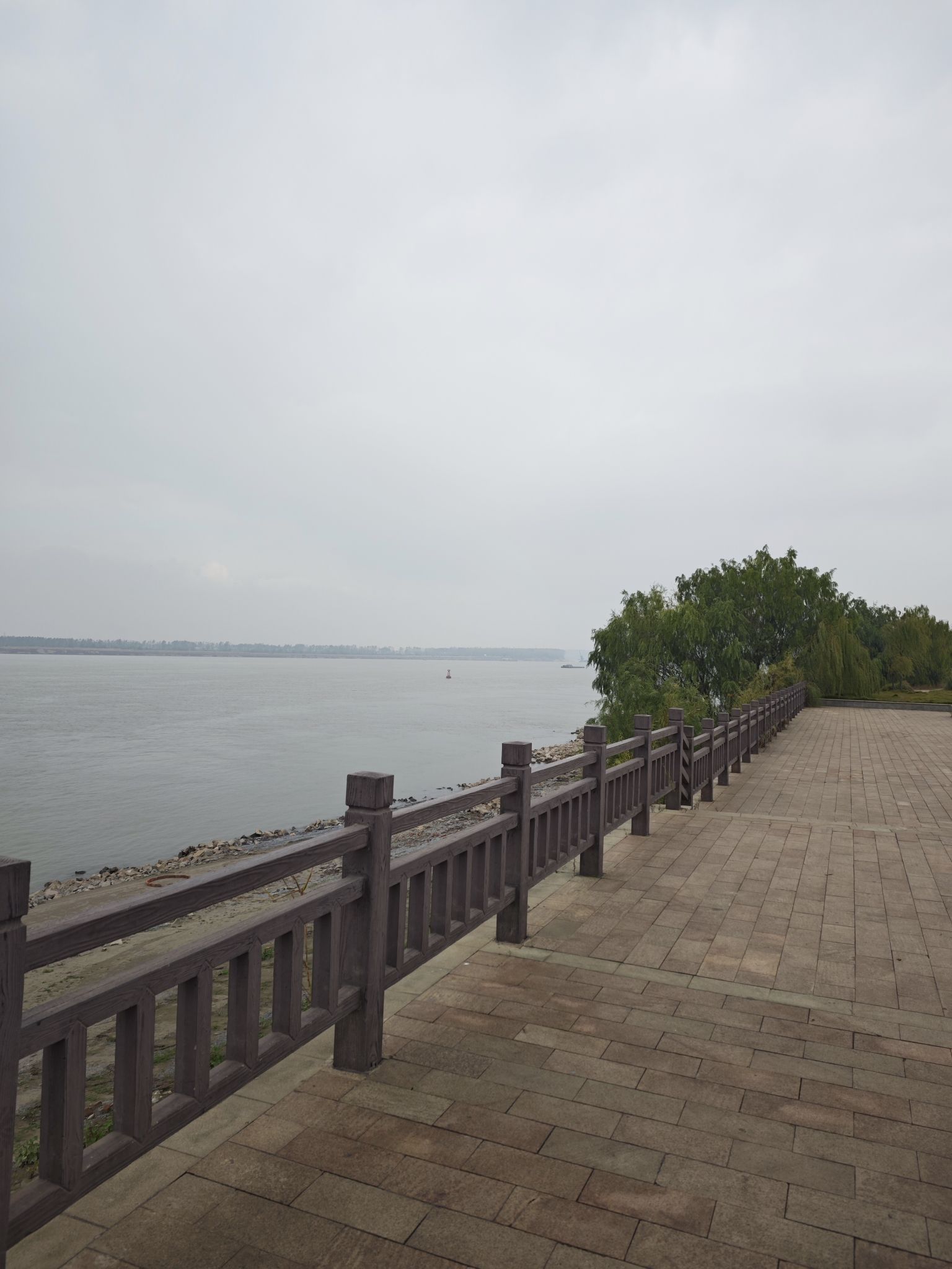 滨江生态体育公园旅行图片 3