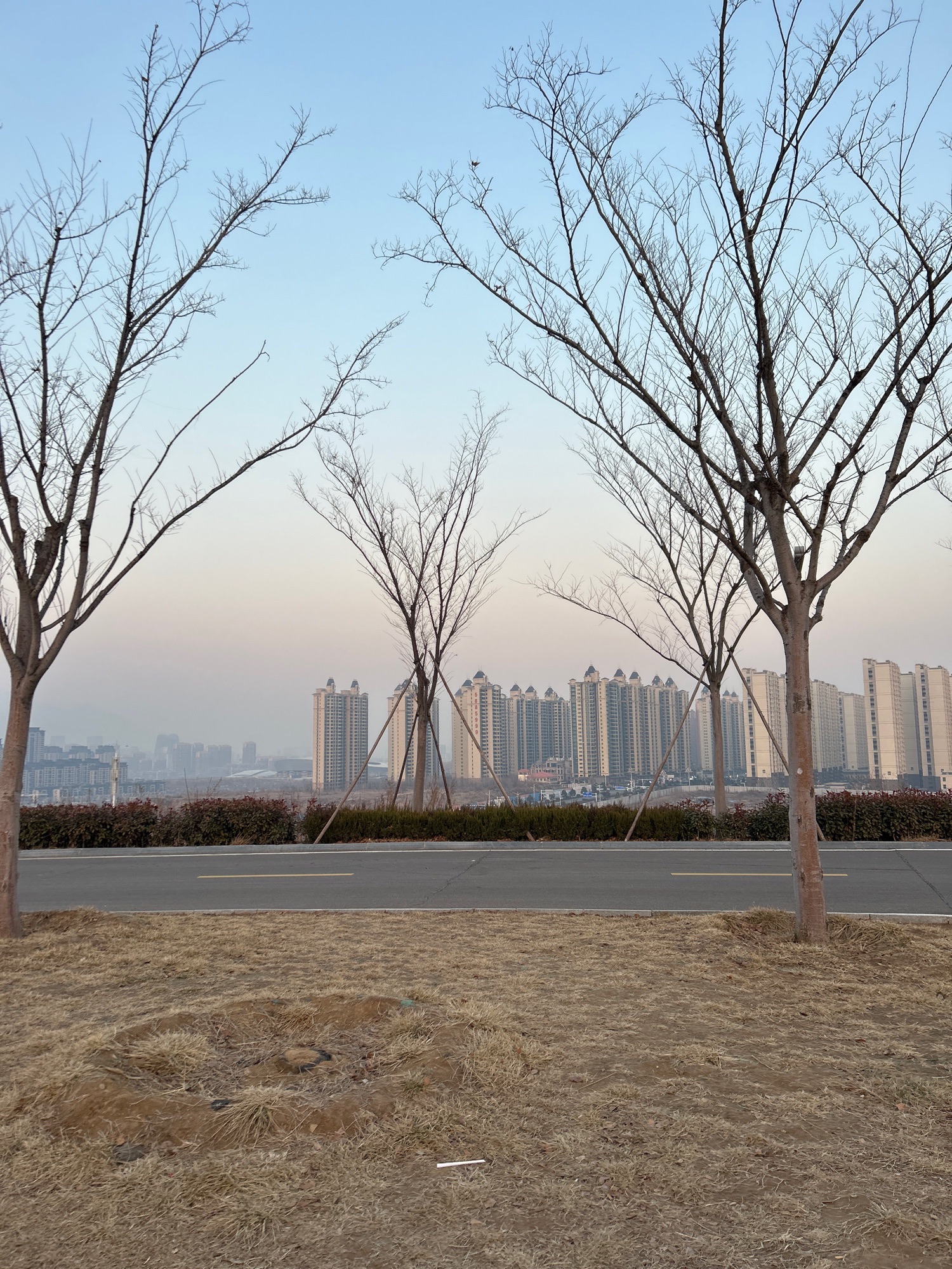 粥顶山体育公园旅行图片 3