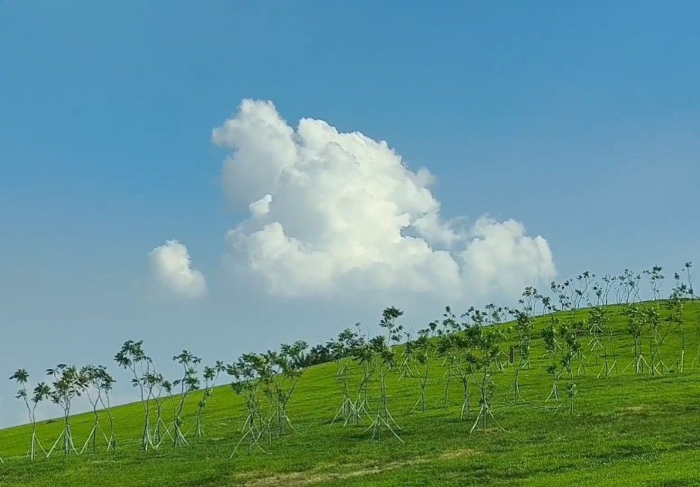 粥顶山体育公园旅行图片 3