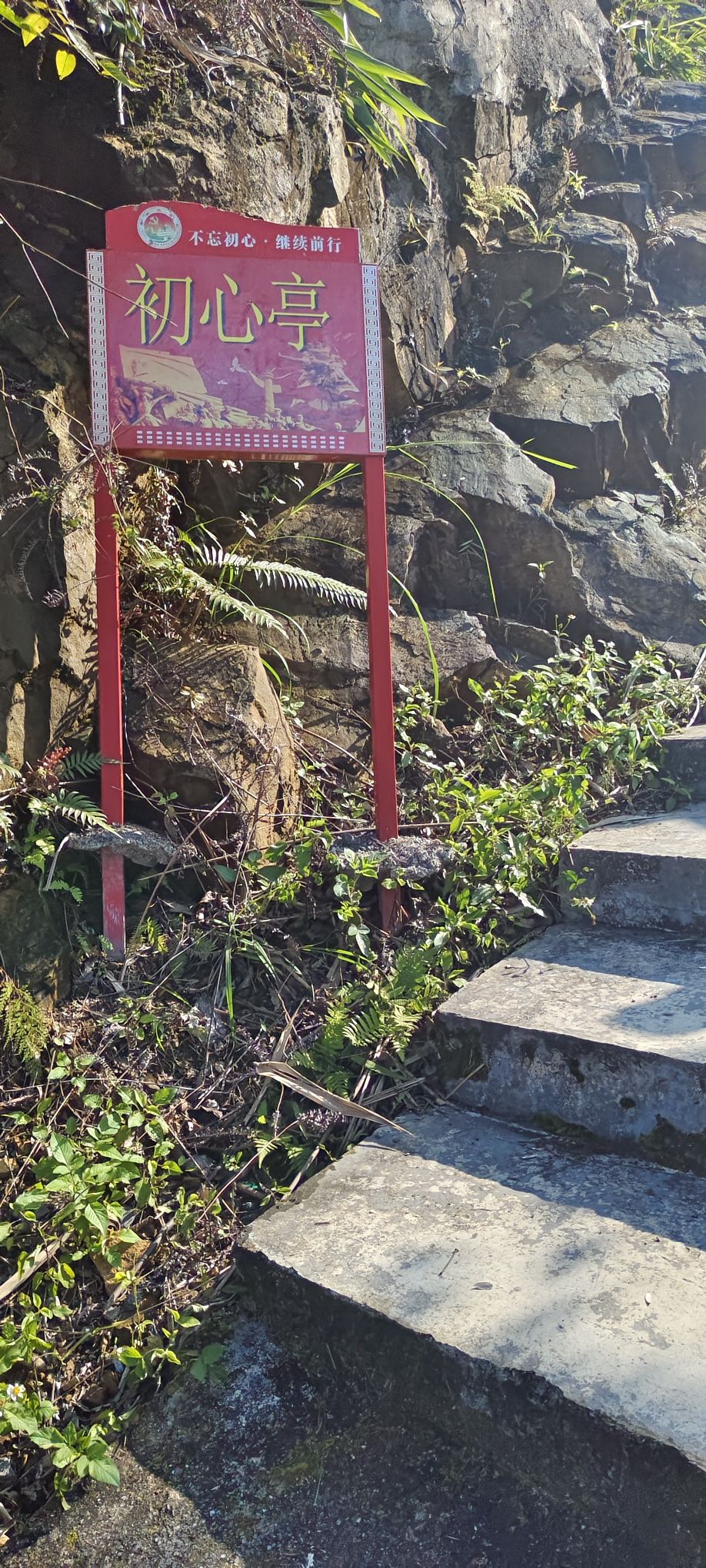初心公园旅行图片 1