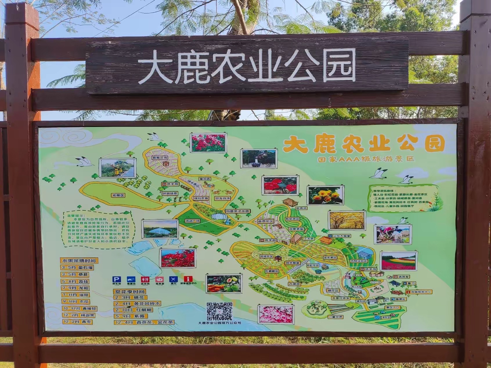 大鹿农业公园旅行图片 2
