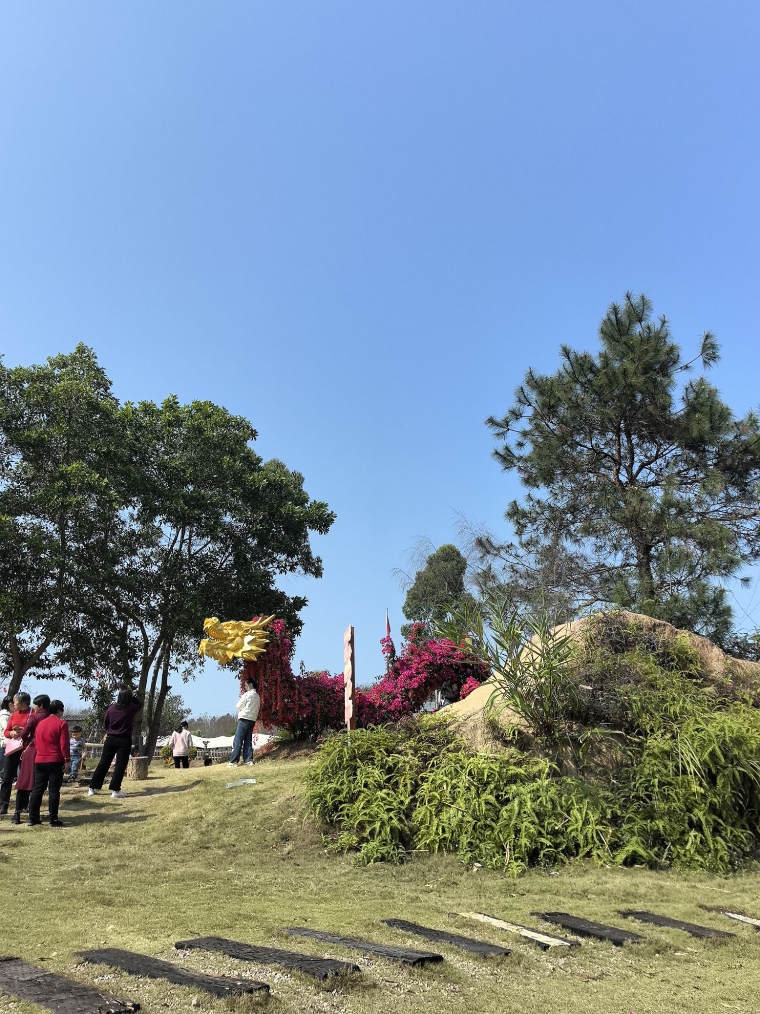 大鹿农业公园旅行图片 1