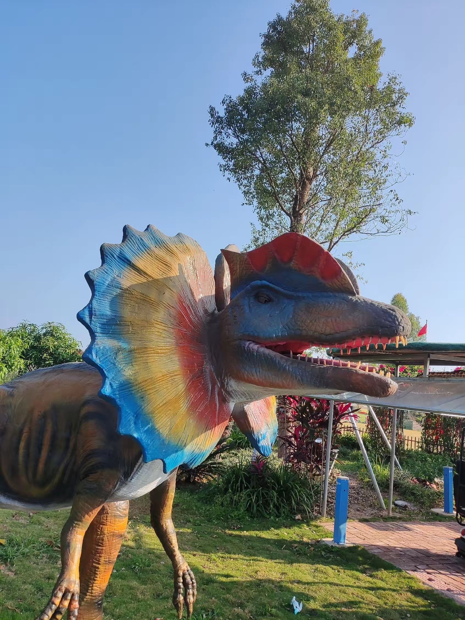 大鹿农业公园旅行图片 3
