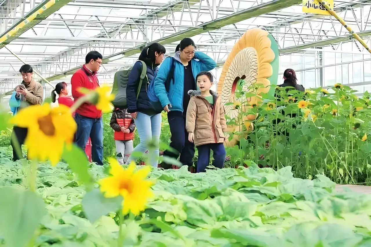 大鹿农业公园旅行图片 2