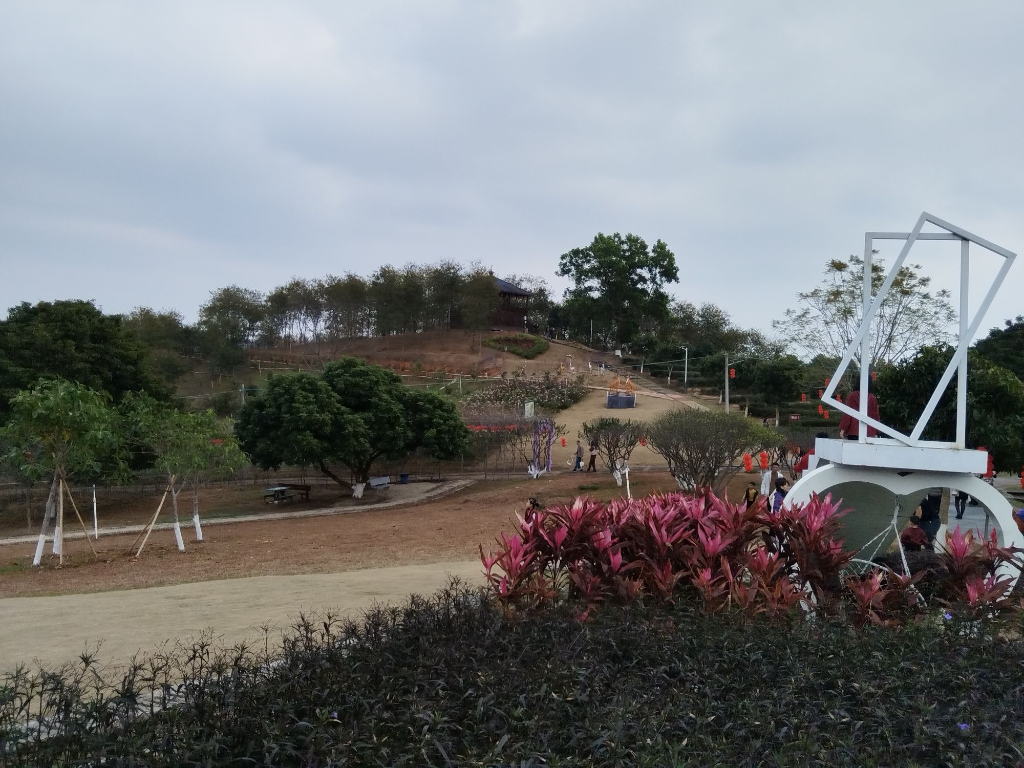 大鹿农业公园旅行图片 2