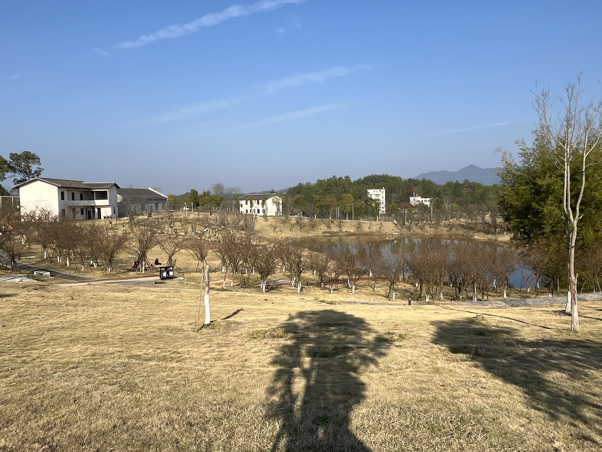 风景独好园旅行图片 3