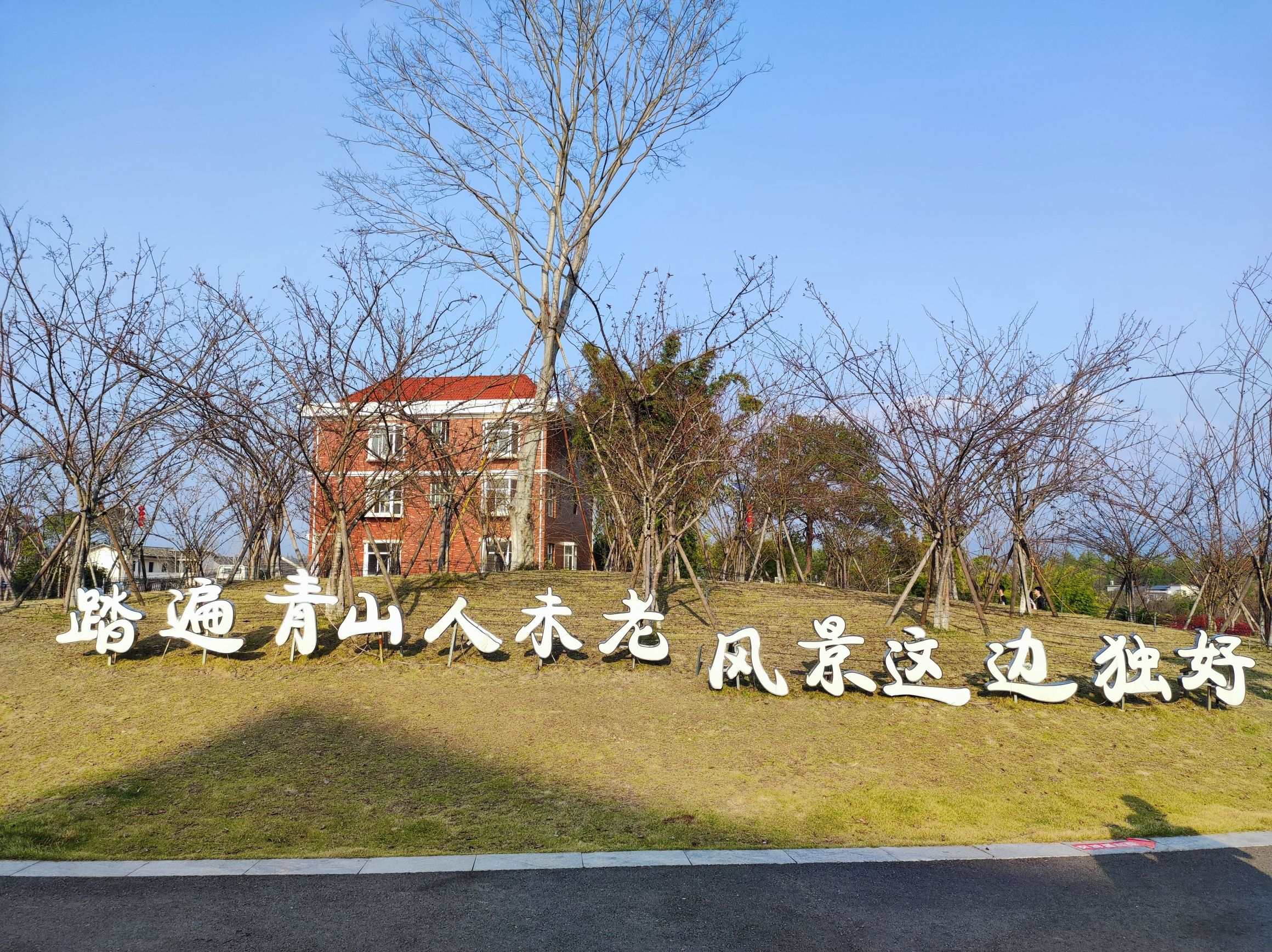 风景独好园旅行图片 2
