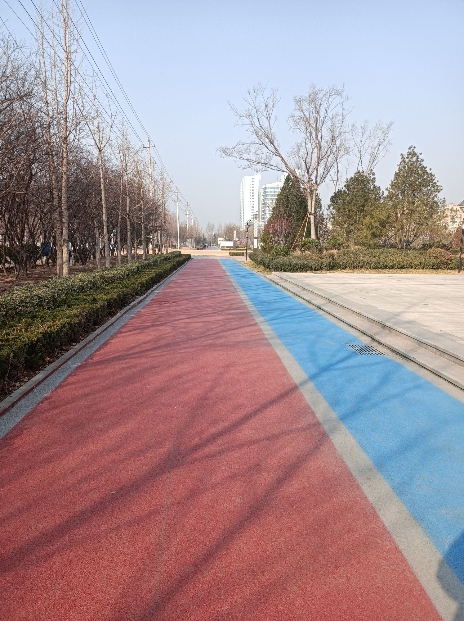临清文体公园旅行图片 3