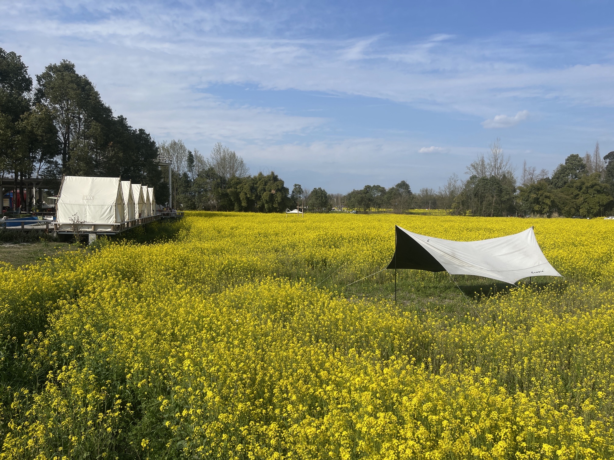场地封面-三道堰青杠树景区-自行车营地