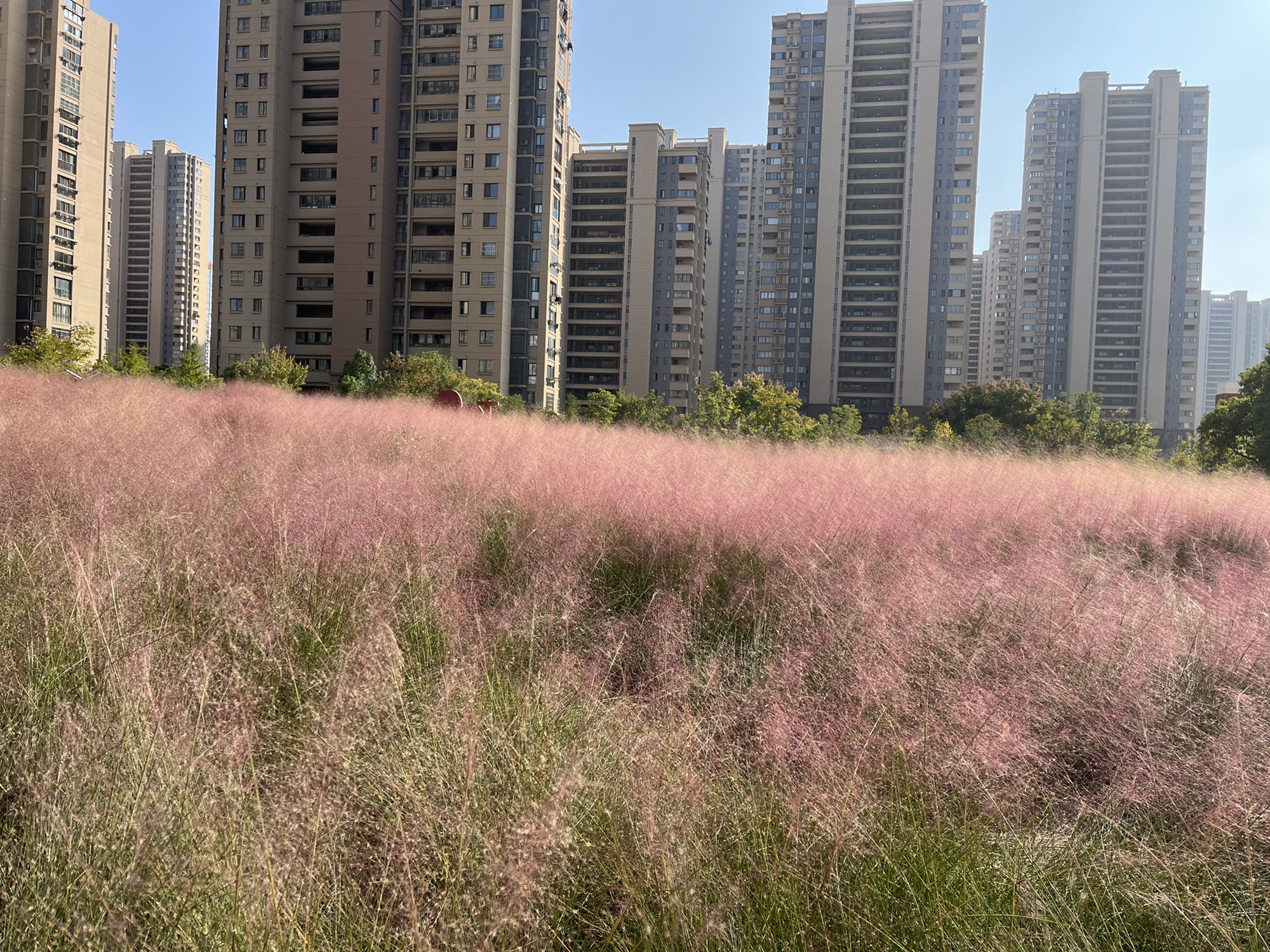 深业党建主题公园旅行图片 2
