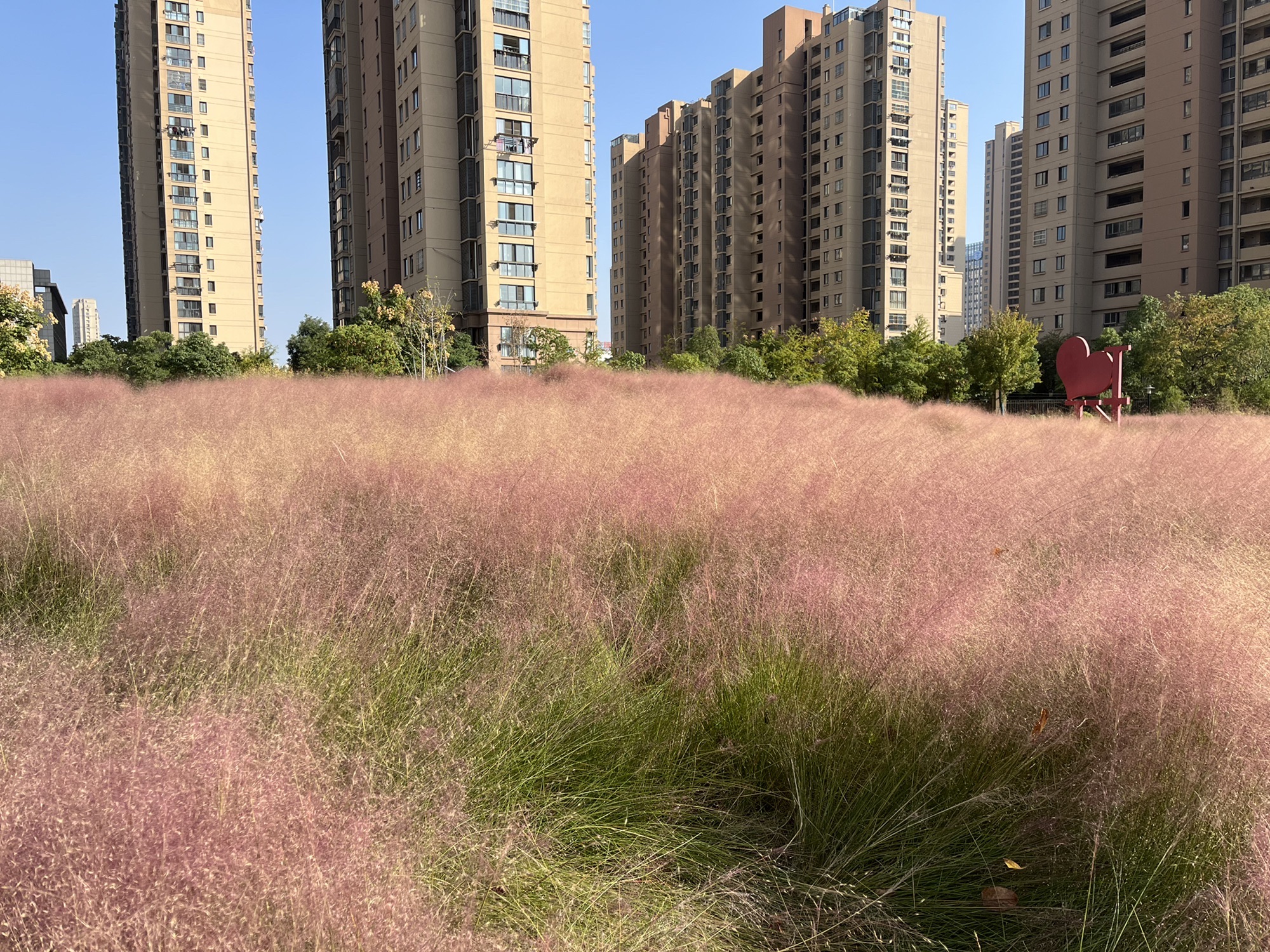 深业党建主题公园旅行图片 3