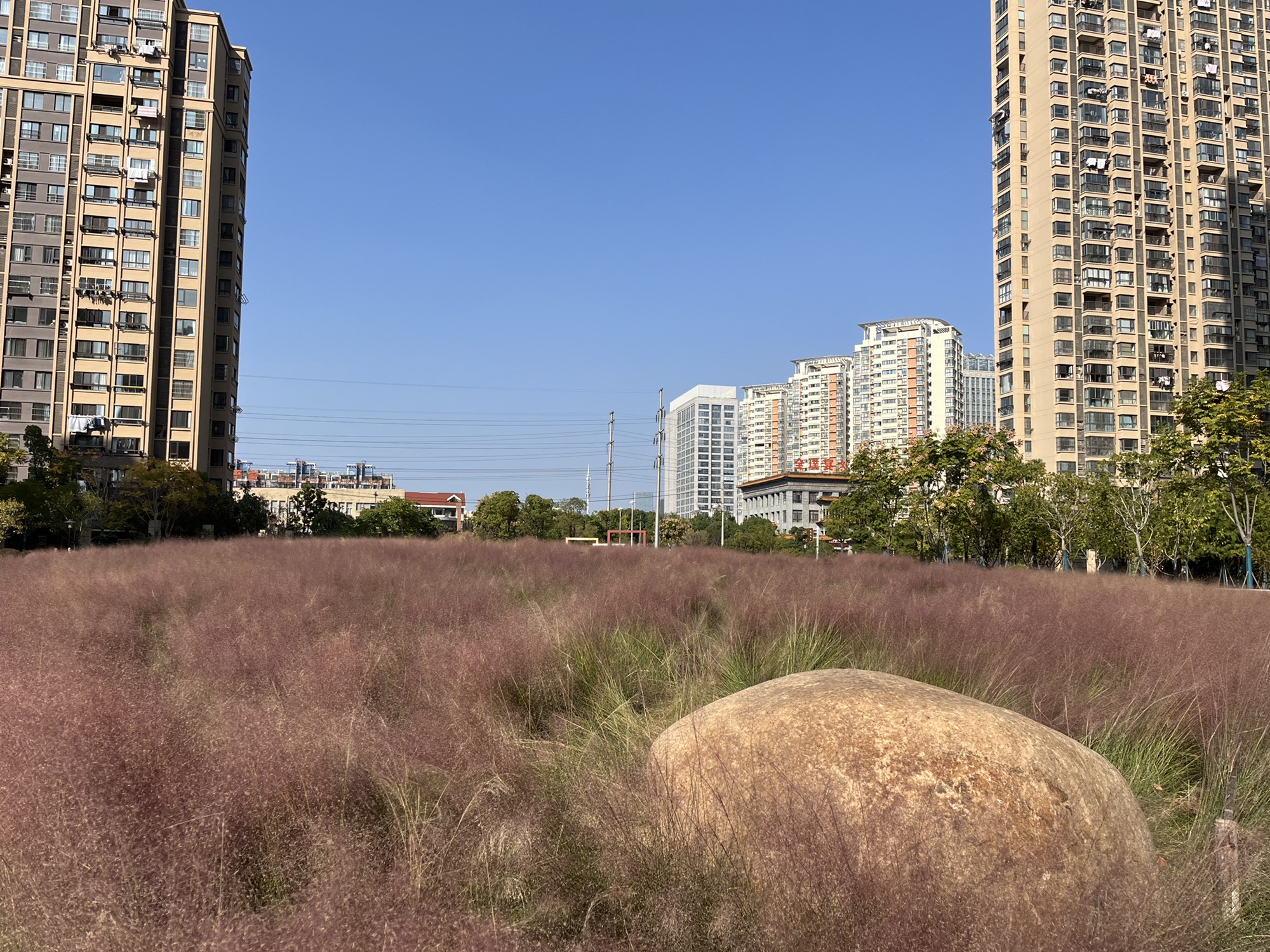 深业党建主题公园旅行图片 1