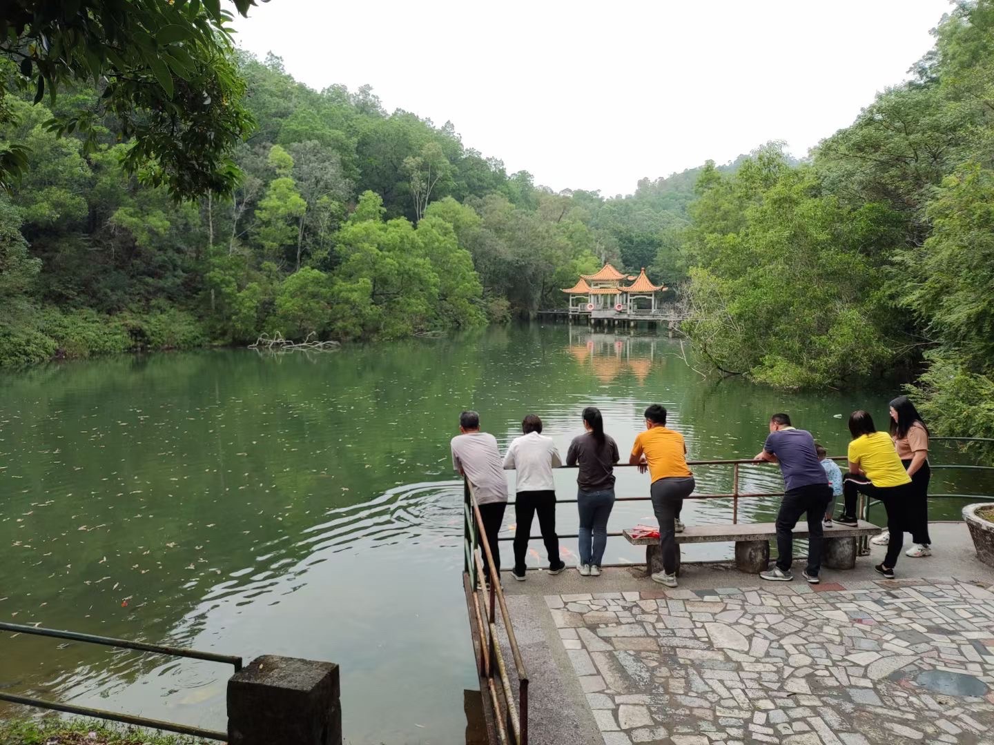开萃塔旅行图片 3