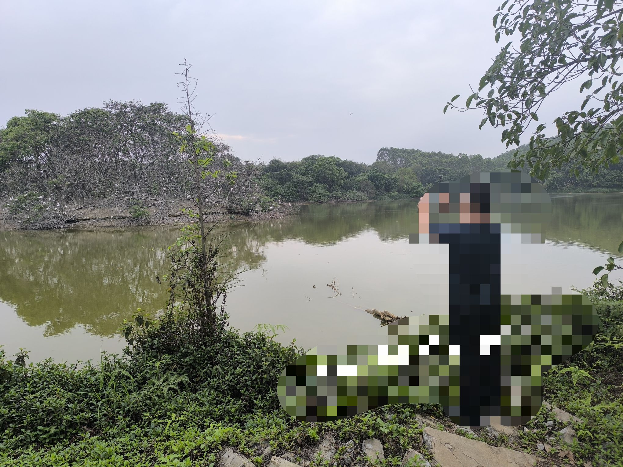 更合镇(肥仔列)体育公园旅行图片 1