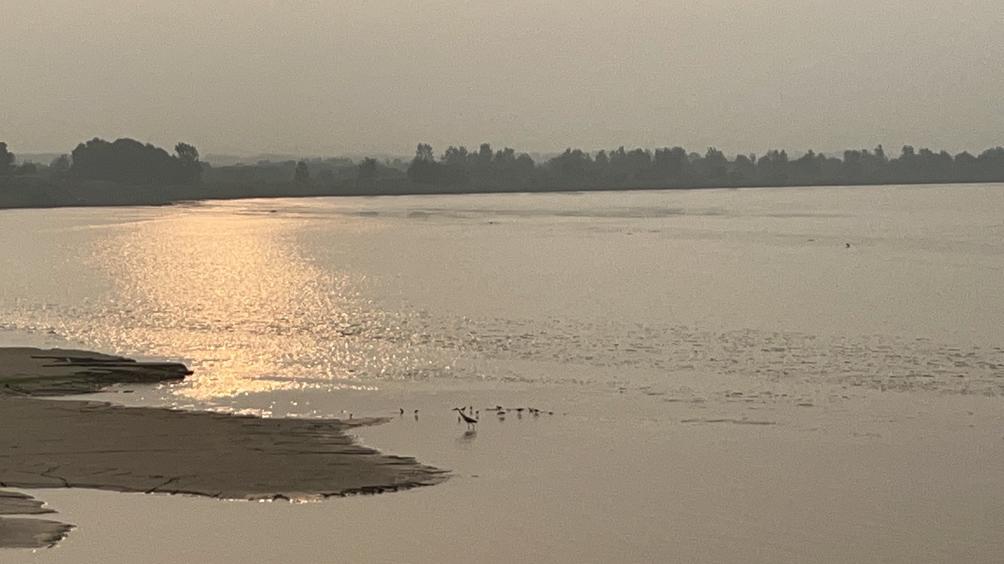 郑州黄河滩地公园旅行图片 3