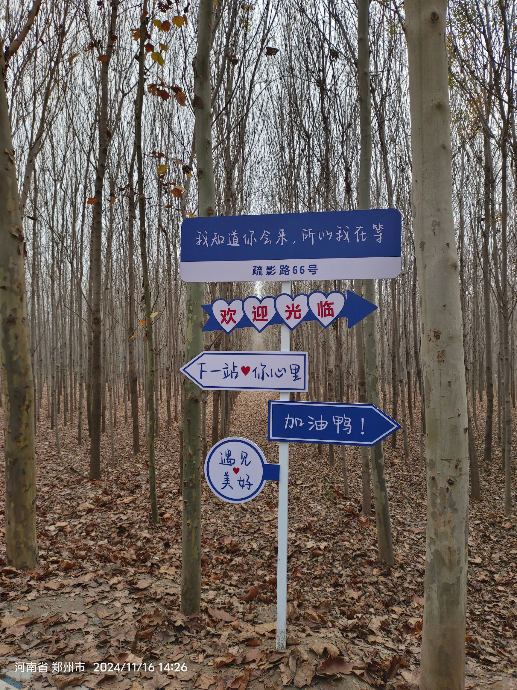 郑州黄河滩地公园旅行图片 3