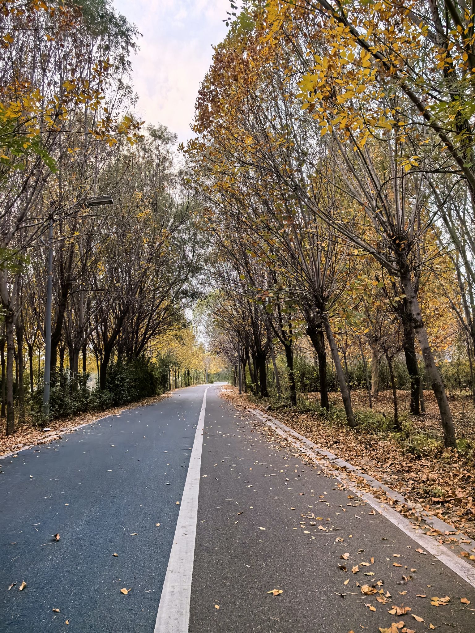 郑州黄河滩地公园旅行图片 2