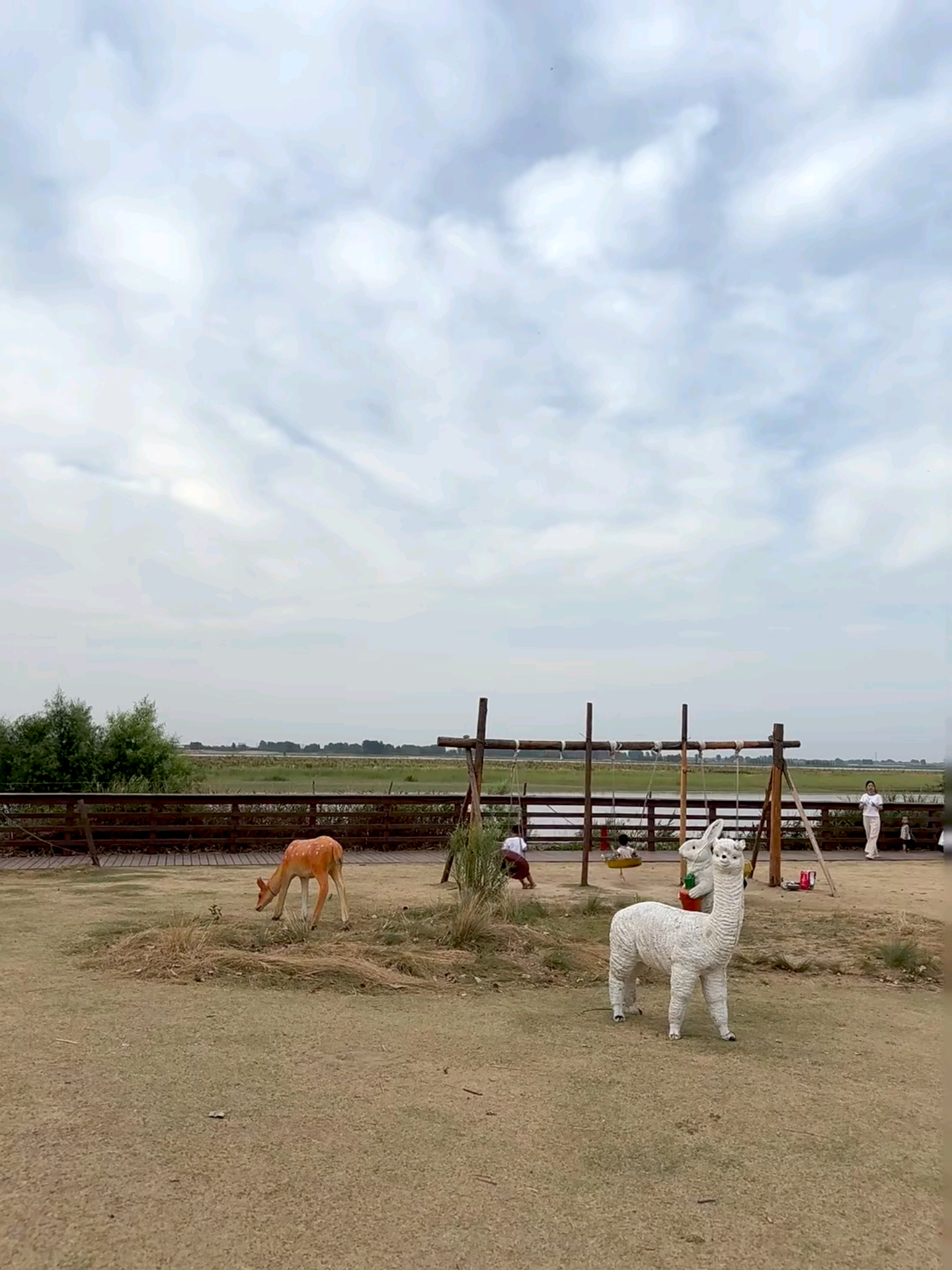 郑州黄河滩地公园旅行图片 3