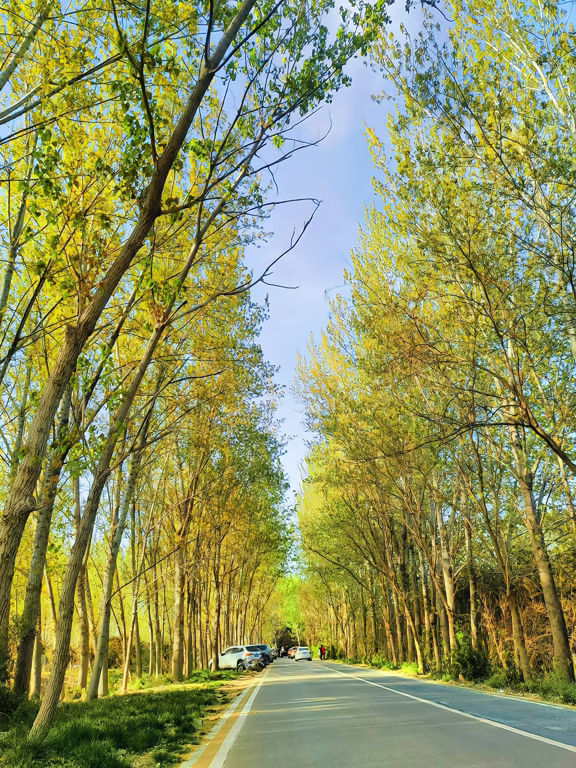 郑州黄河滩地公园旅行图片 1