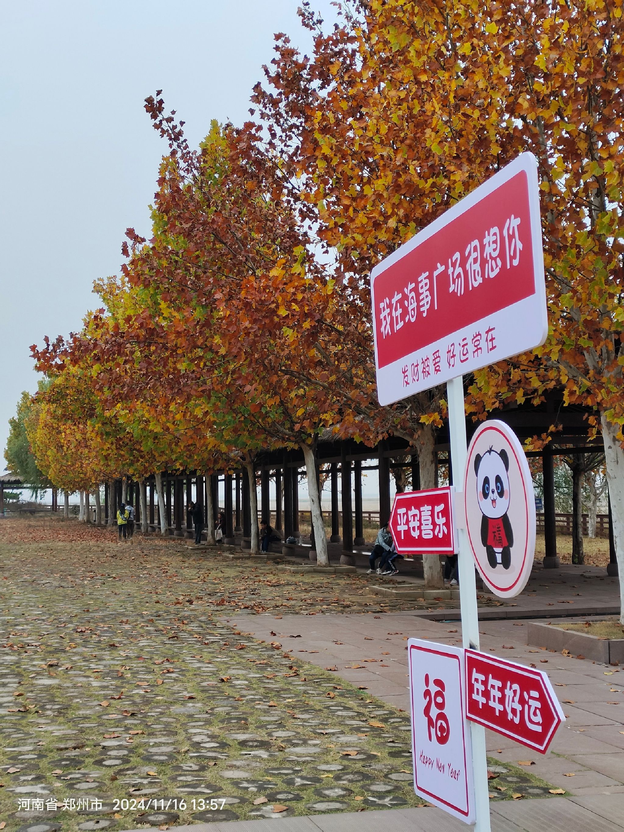 郑州黄河滩地公园旅行图片 1